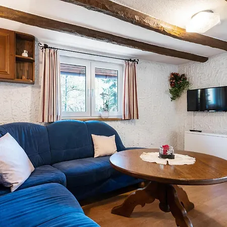 In Sauerland Nahe Winterberg Skifahren Holiday home *