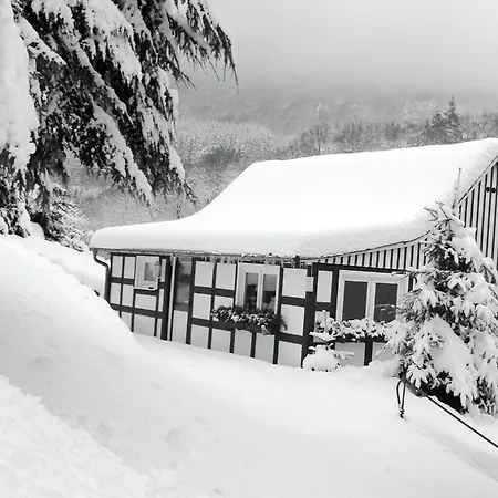 In Sauerland Nahe Winterberg Skifahren Holiday home Schmallenberg