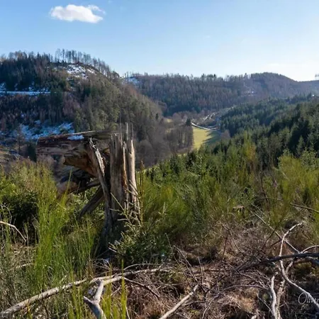 In Sauerland Nahe Winterberg Skifahren Schmallenberg