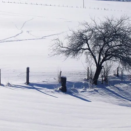 In Sauerland Nahe Winterberg Skifahren Hébergement de vacances *