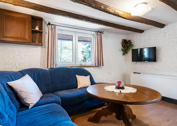 In Sauerland Nahe Winterberg Skifahren 別荘 *