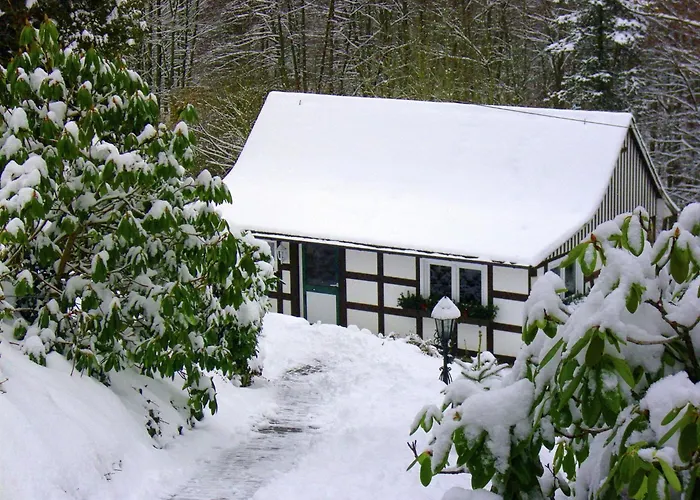 別荘 In Sauerland Nahe Winterberg Skifahren *