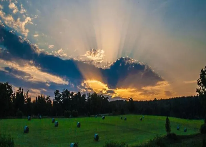 In Sauerland Nahe Winterberg Skifahren 別荘 *