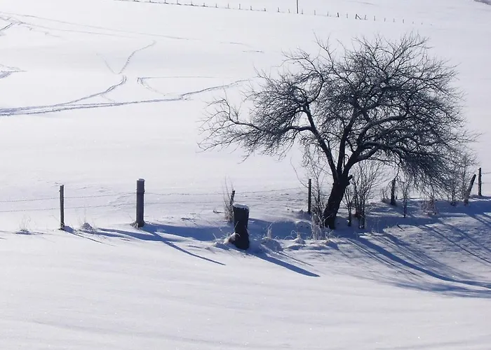 In Sauerland Nahe Winterberg Skifahren 펜션 *